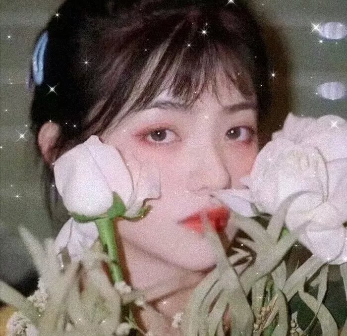 拥抱阳光
